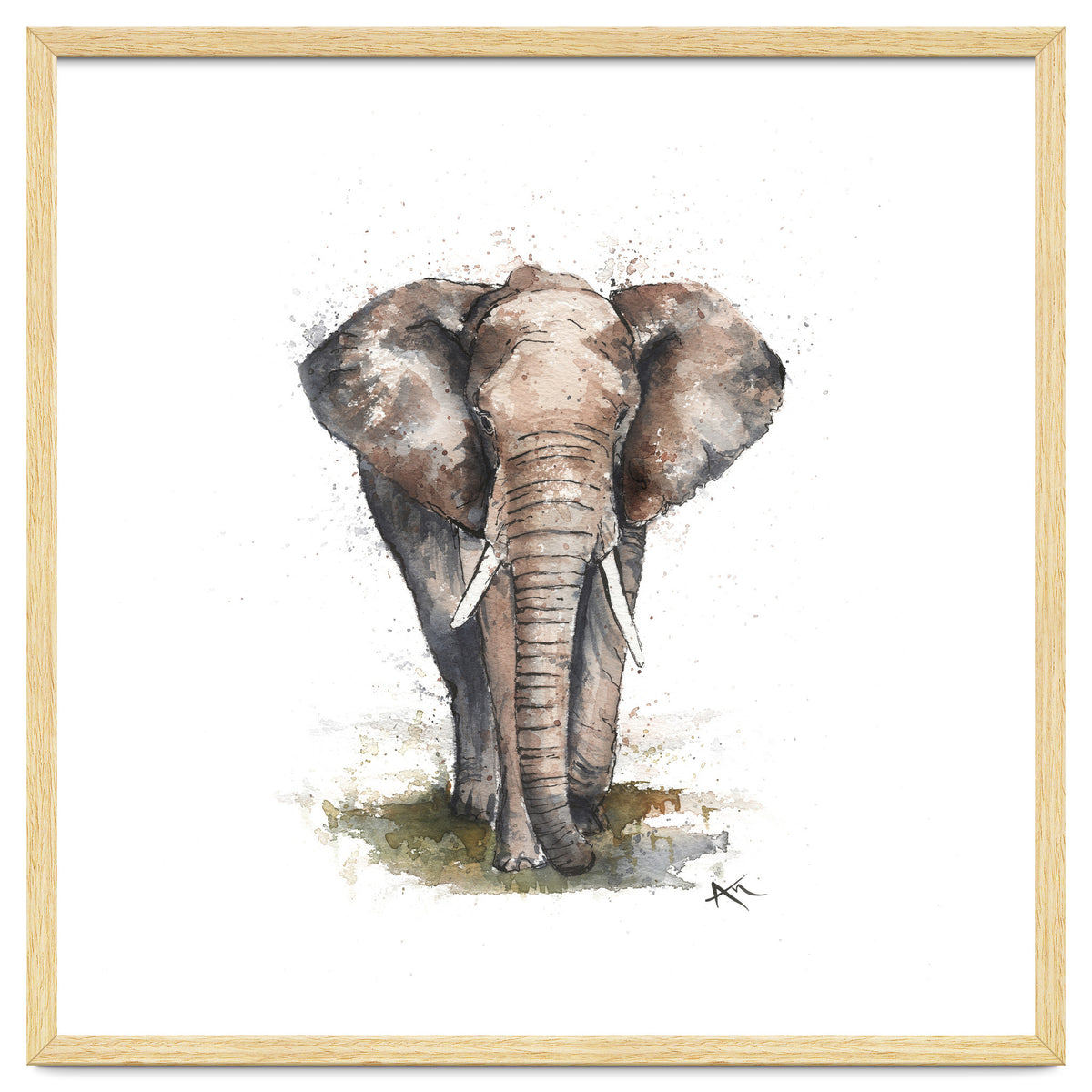 Elephant - Wildlife Collection