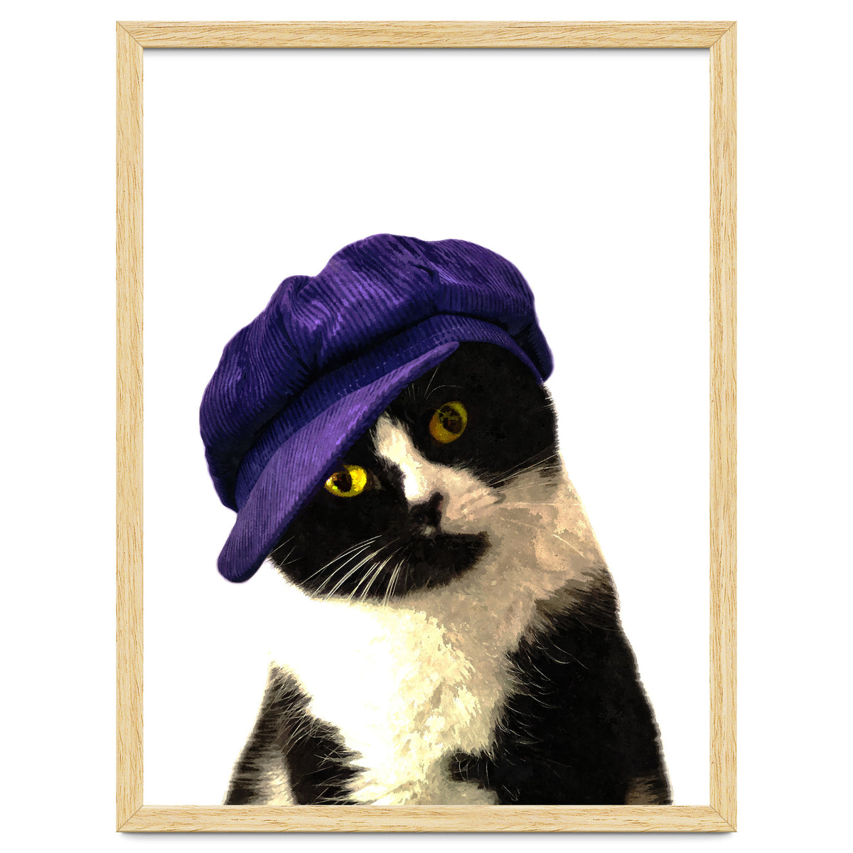 Cat Blue Hat