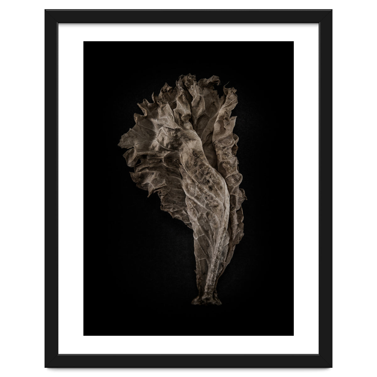 Leaves No 8 Color Version