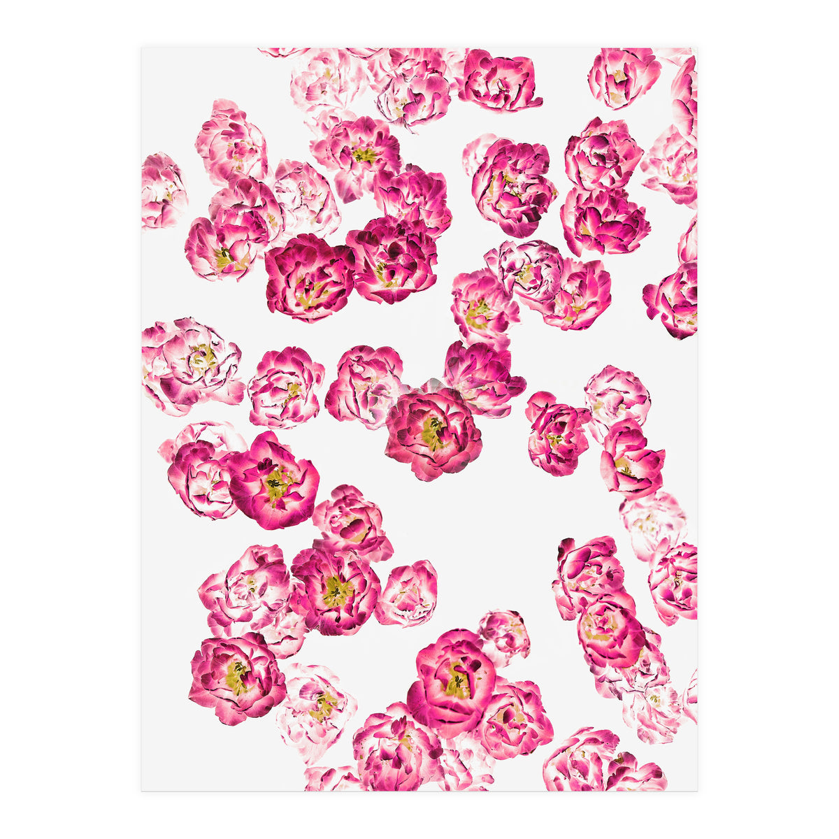 Pink Heaven (Print Only)