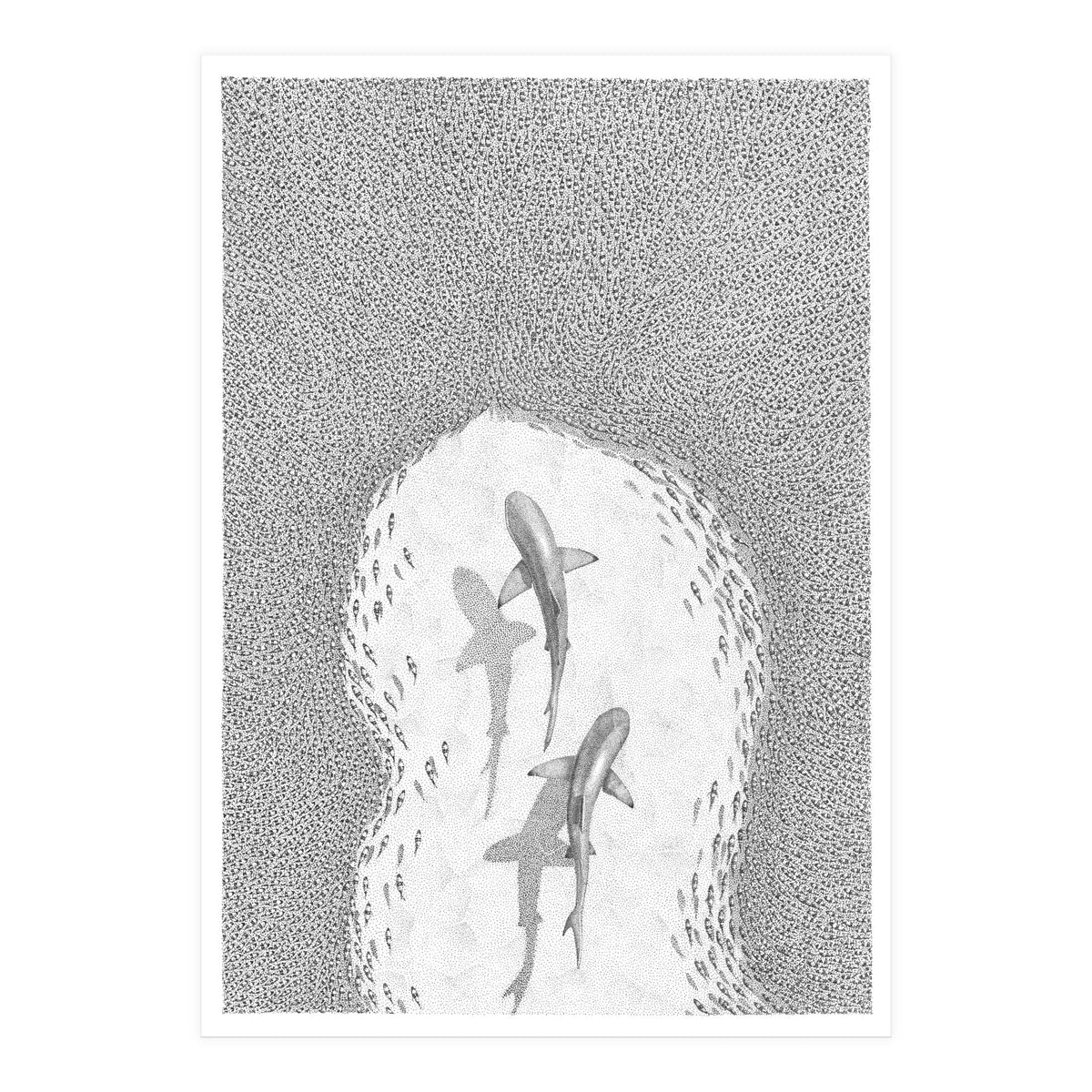 Strength in numbers (Print Only)