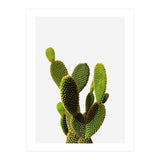 77 (Print Only) thumbnail