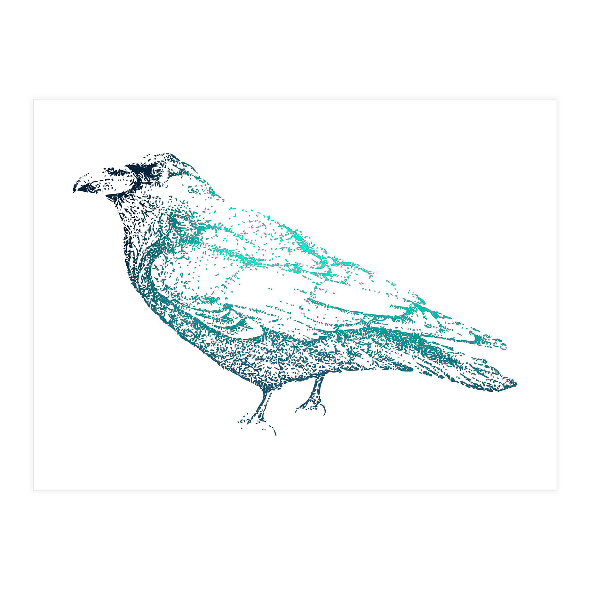Teal Raven (Print Only)