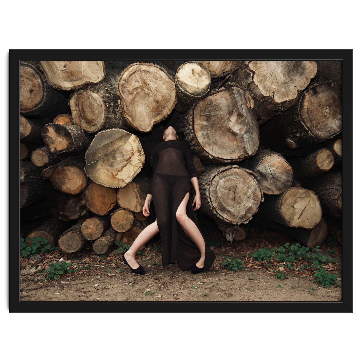 Slow Dancing Society