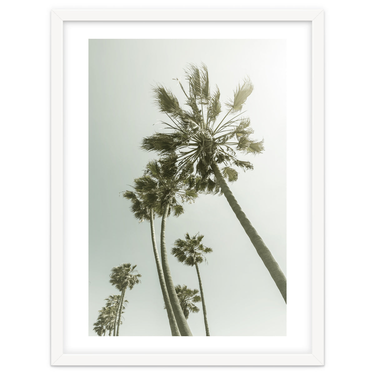 Vintage Palm Trees