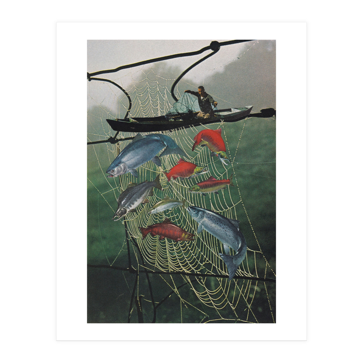 Salmon Trap (Print Only)