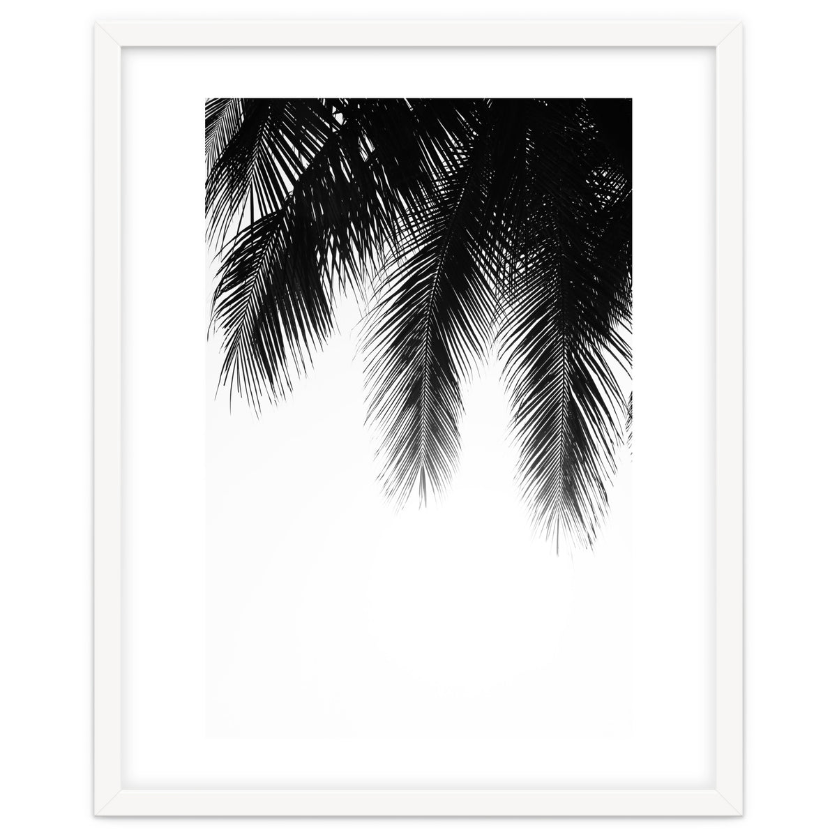 Palm leaves
