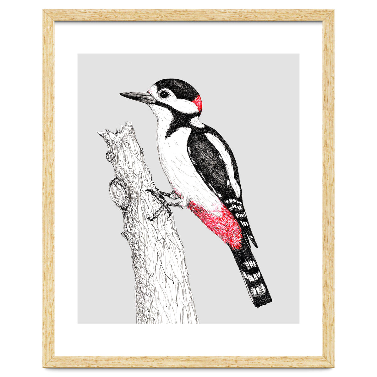 Great spotted woodpecker