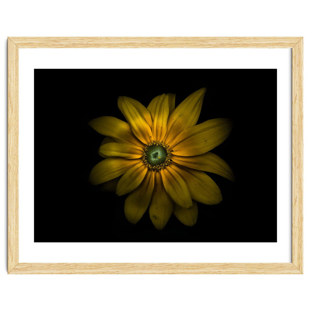 Backyard Flowers No 34 Color Version