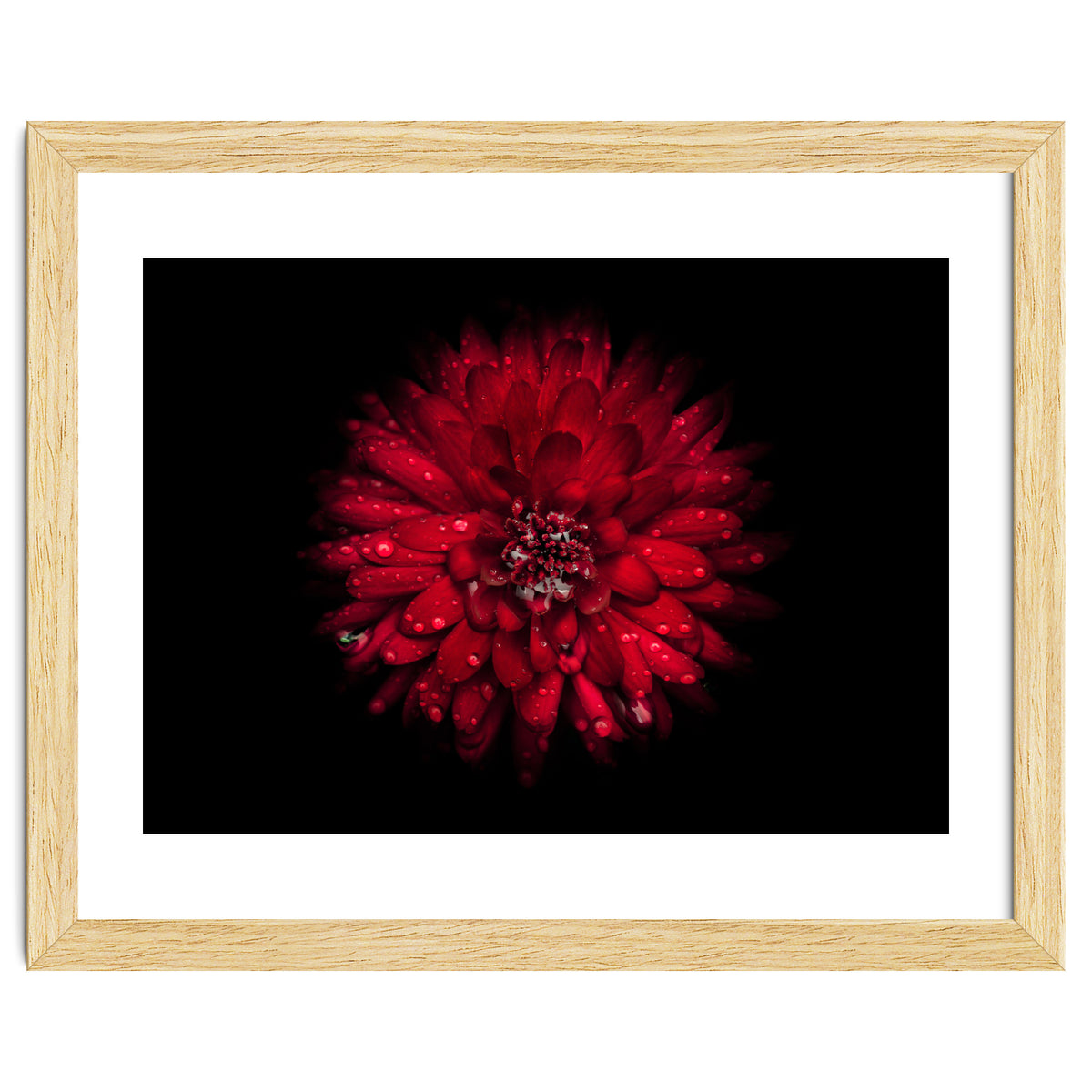 Backyard Flowers 45 Color Version