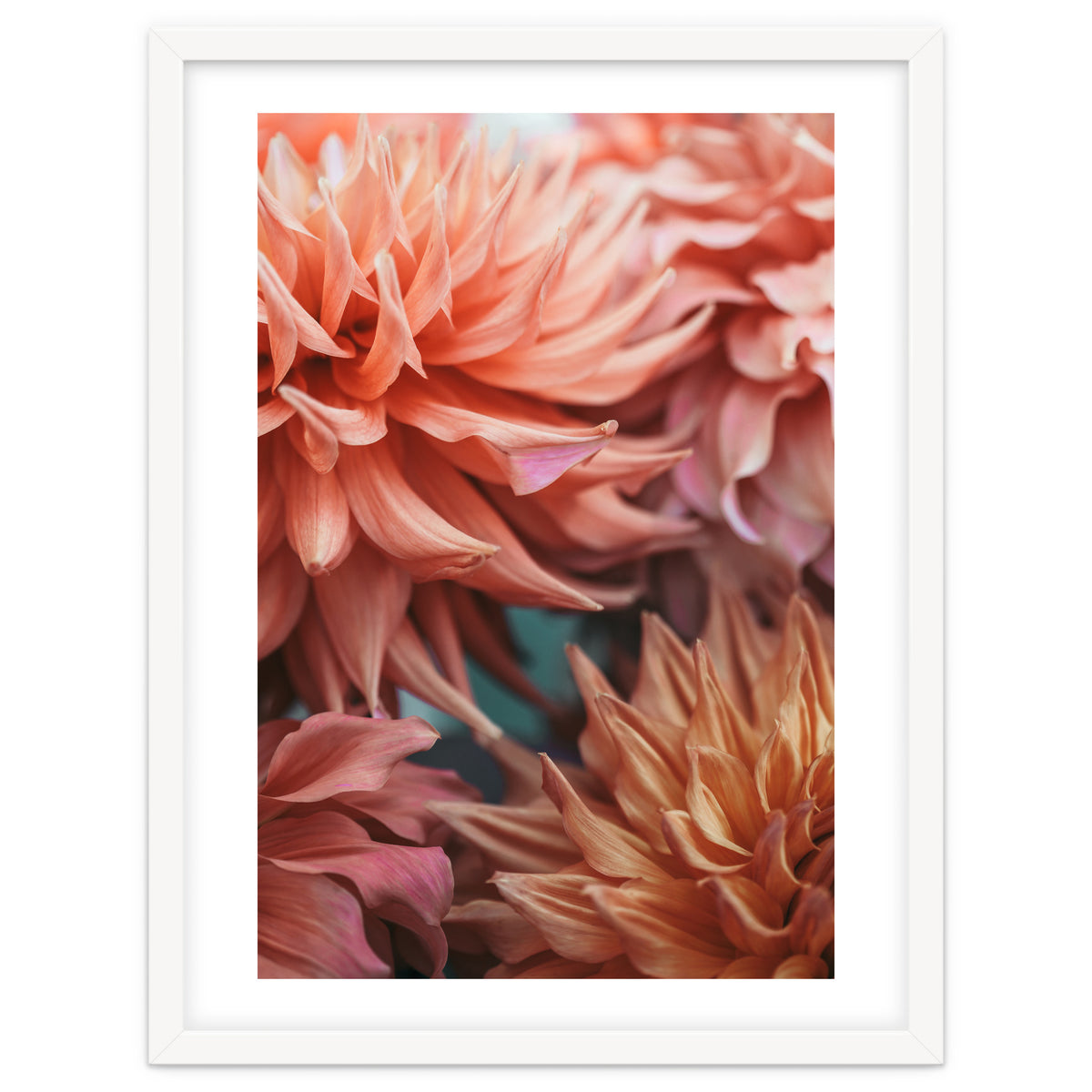 Vintage Dahlia
