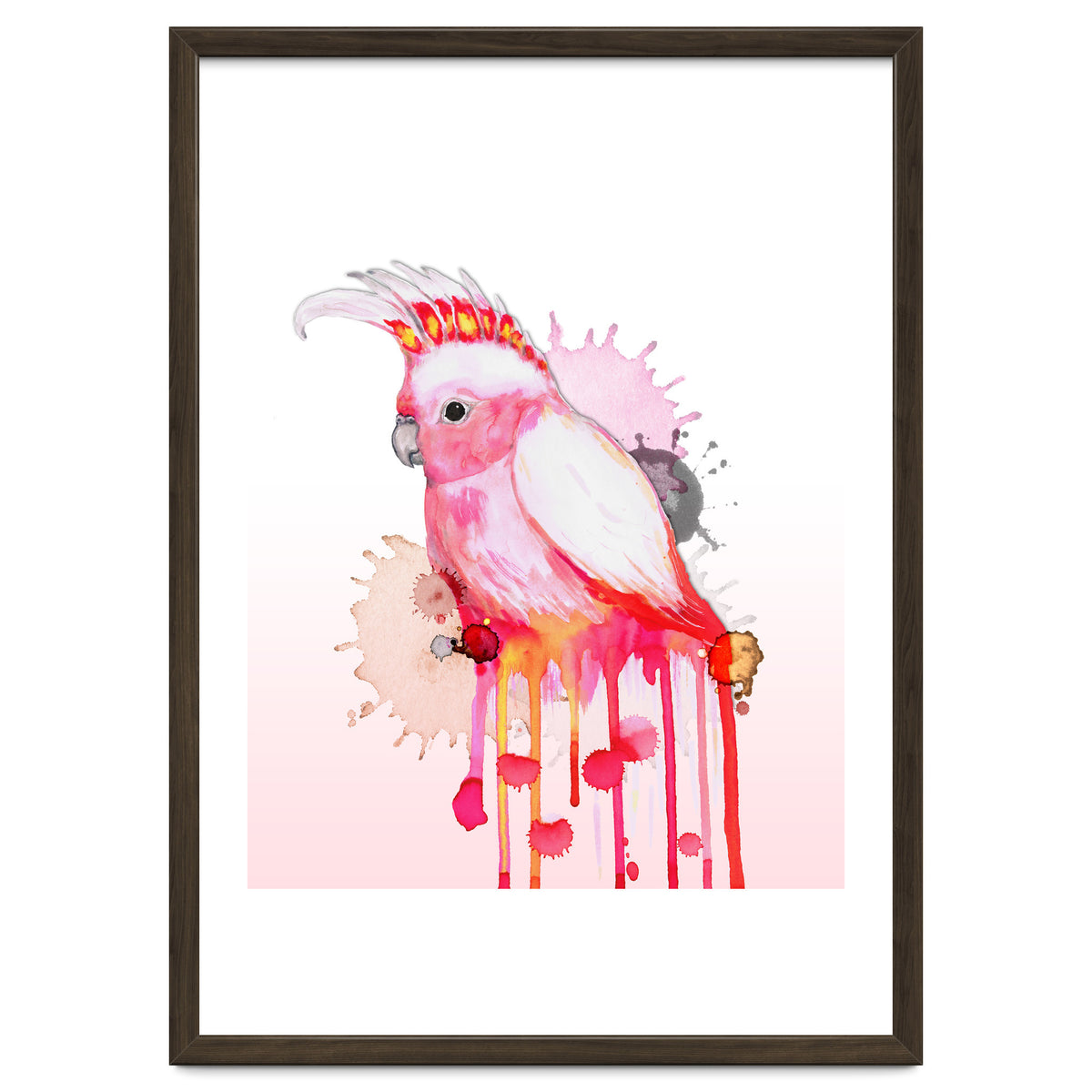 Major Mitchell's cockatoo