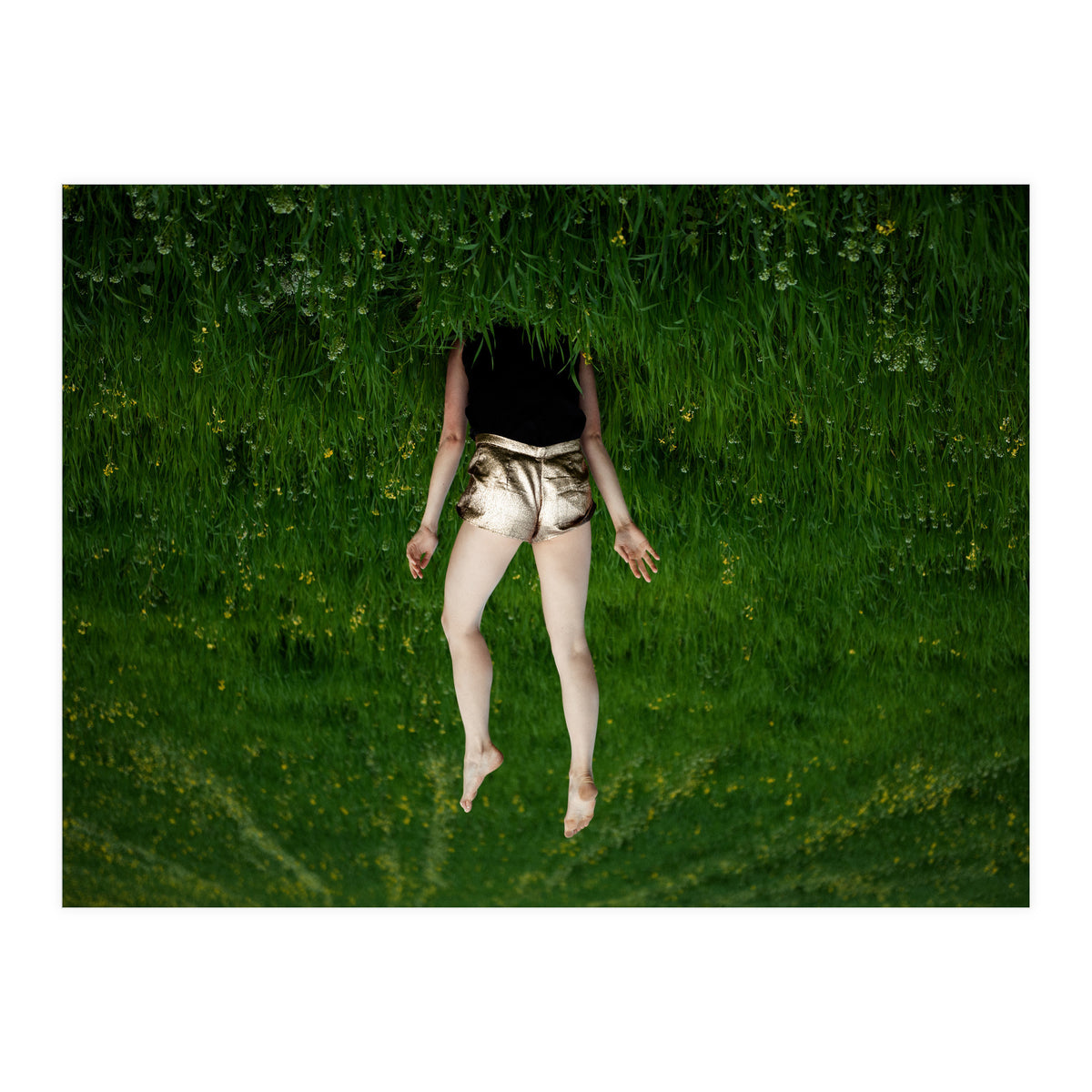 Gravity (Print Only)