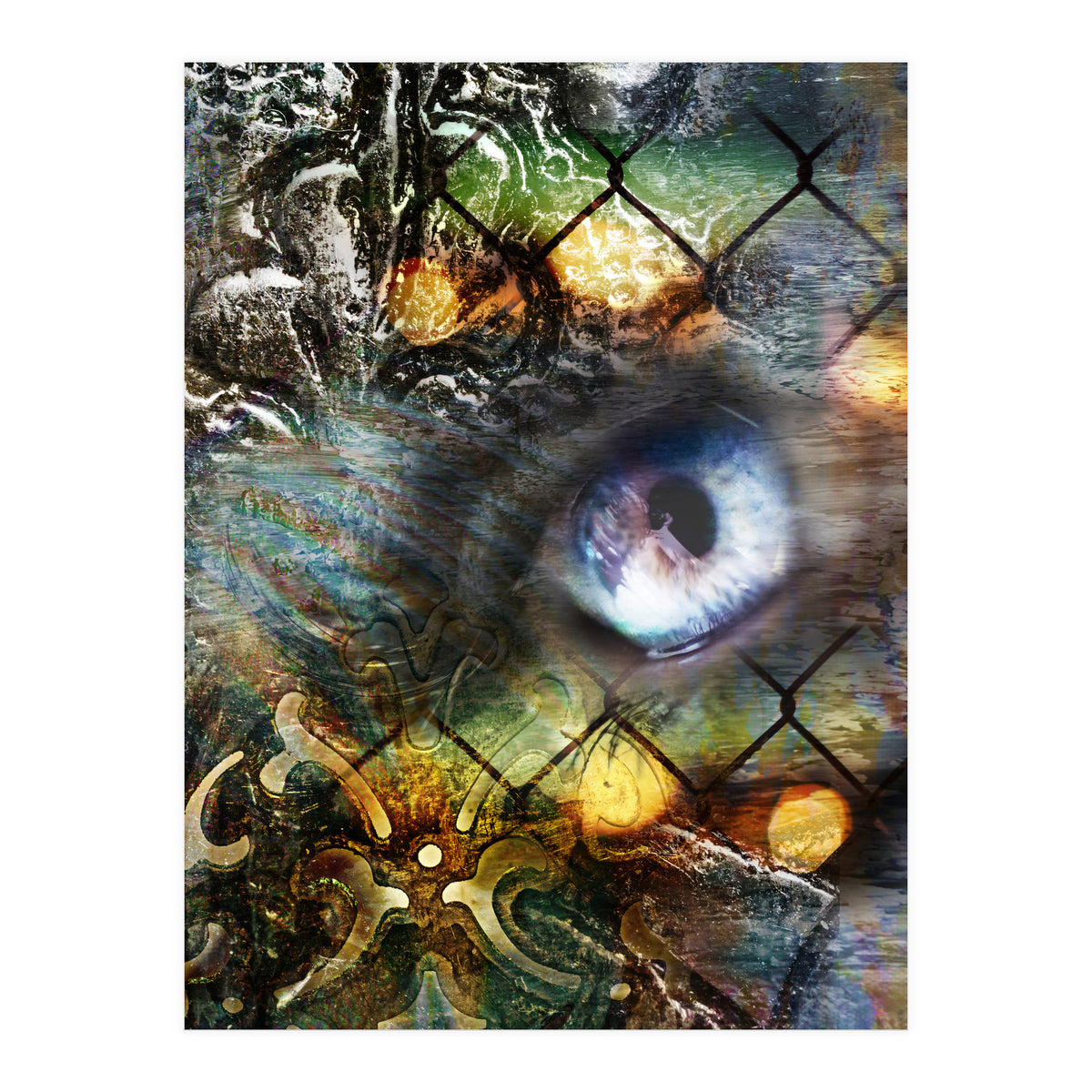 Perceptions (Print Only)