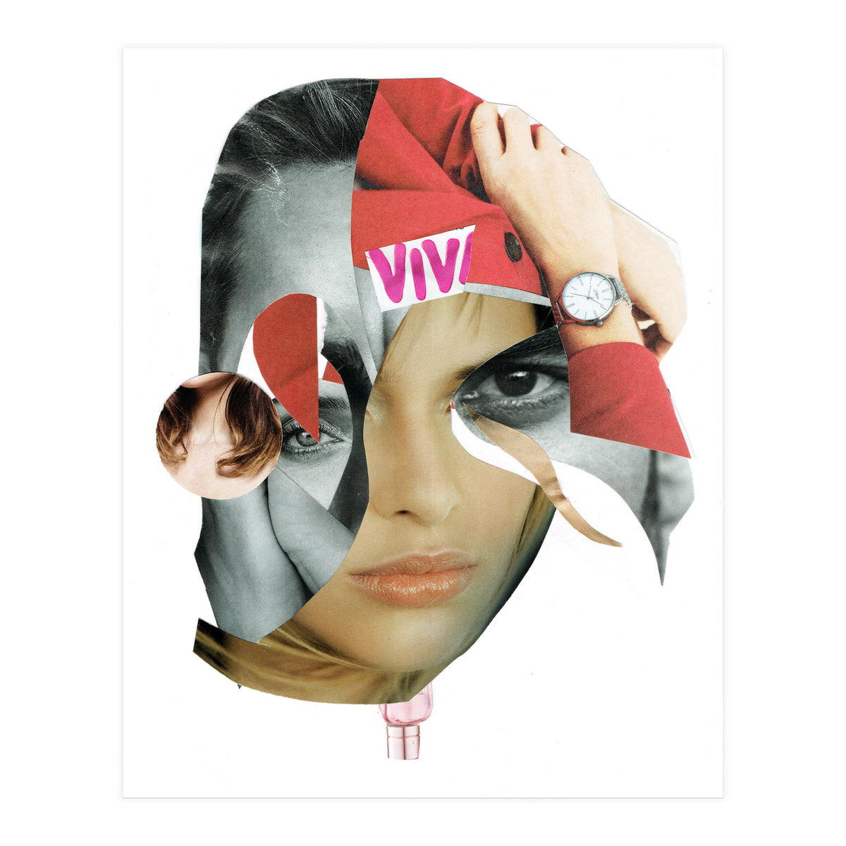 Another Portrait Disaster X (Print Only)