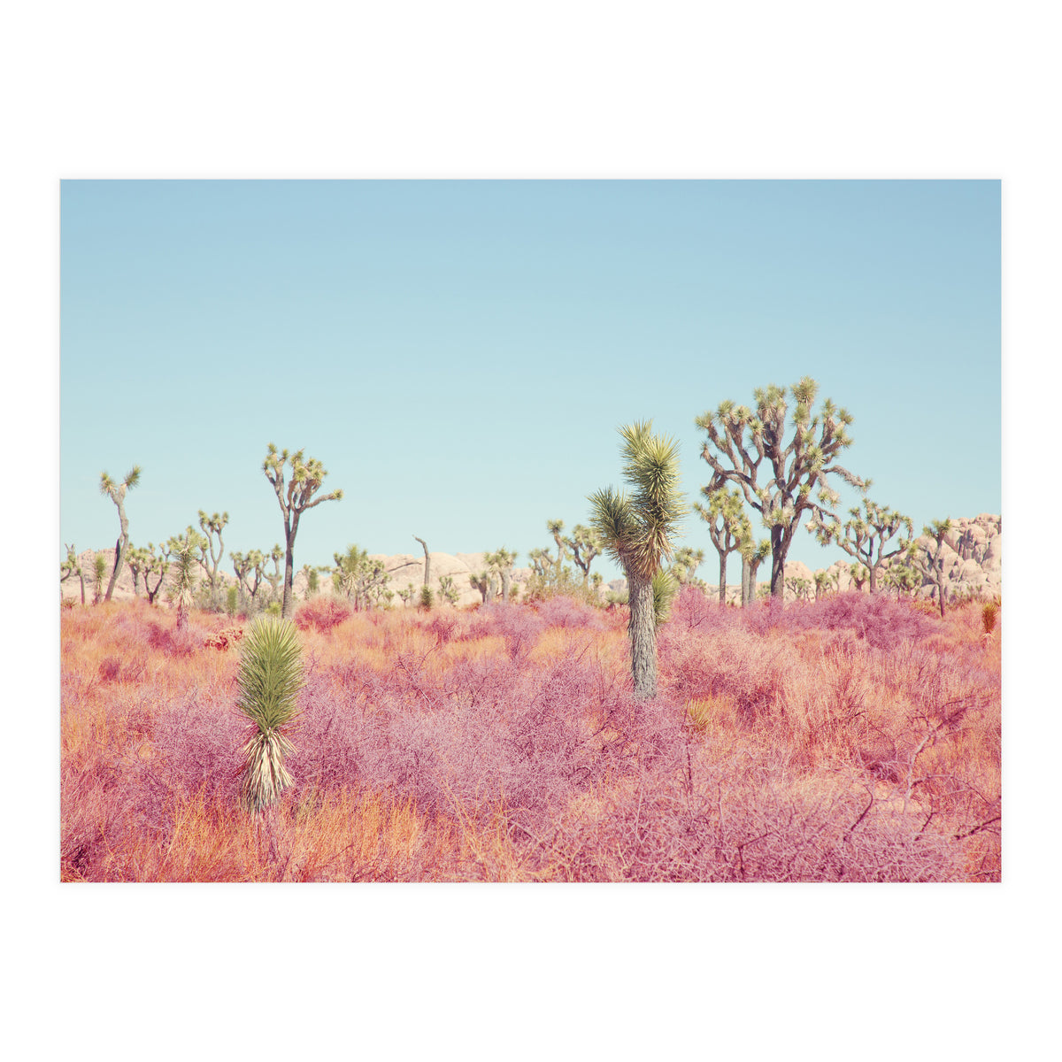 Surreal Desert (Print Only)