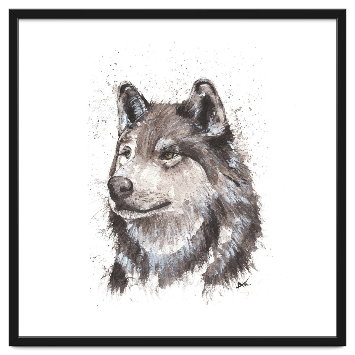 Wolf - Wildlife Collection