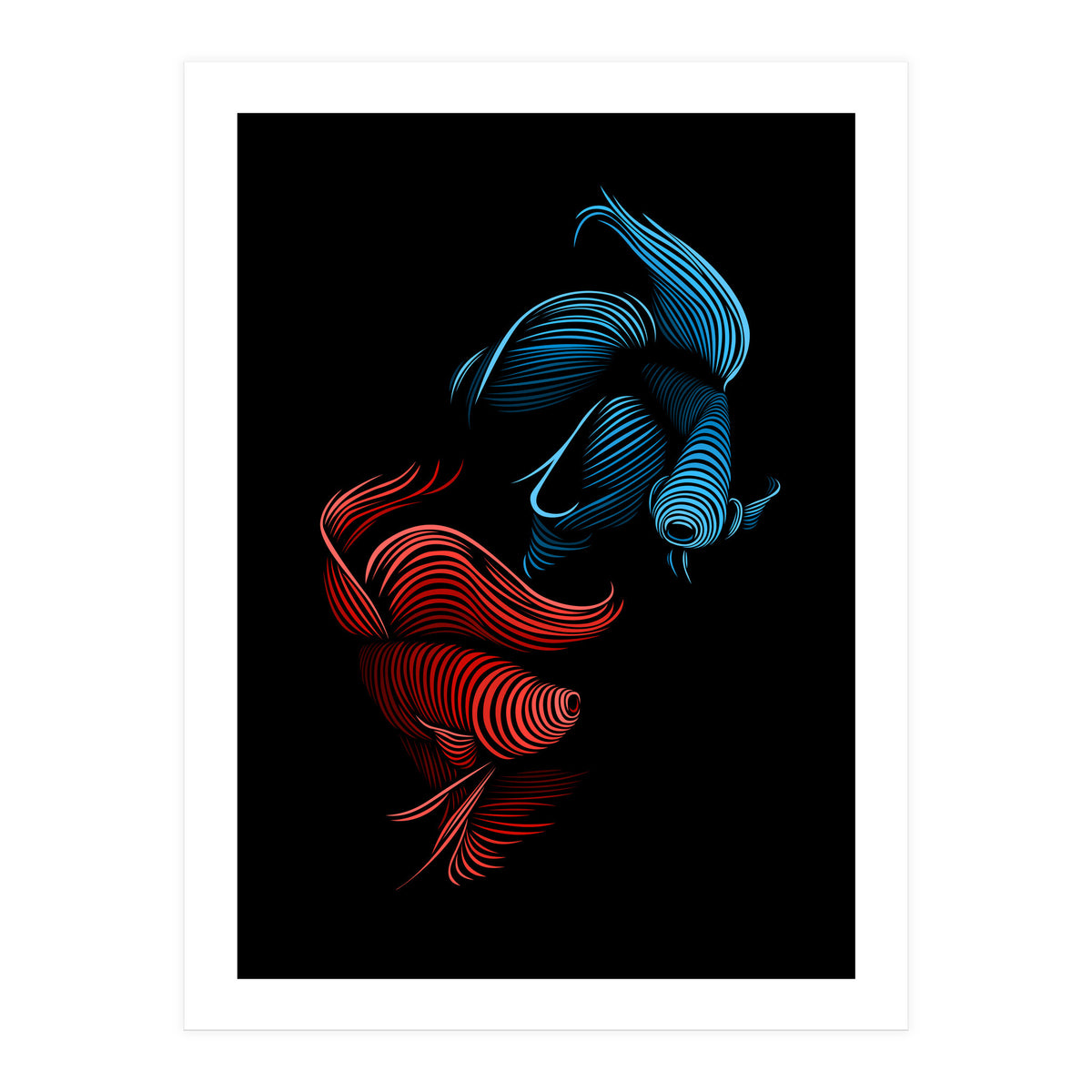 bettas fight (Print Only)