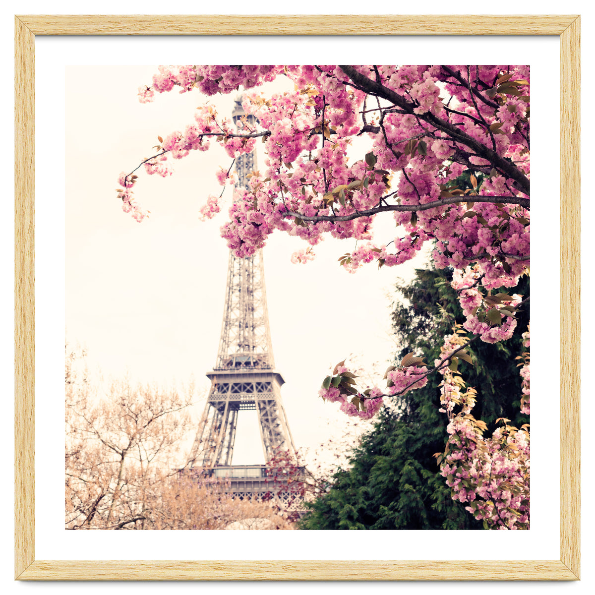 Paris in the Spring