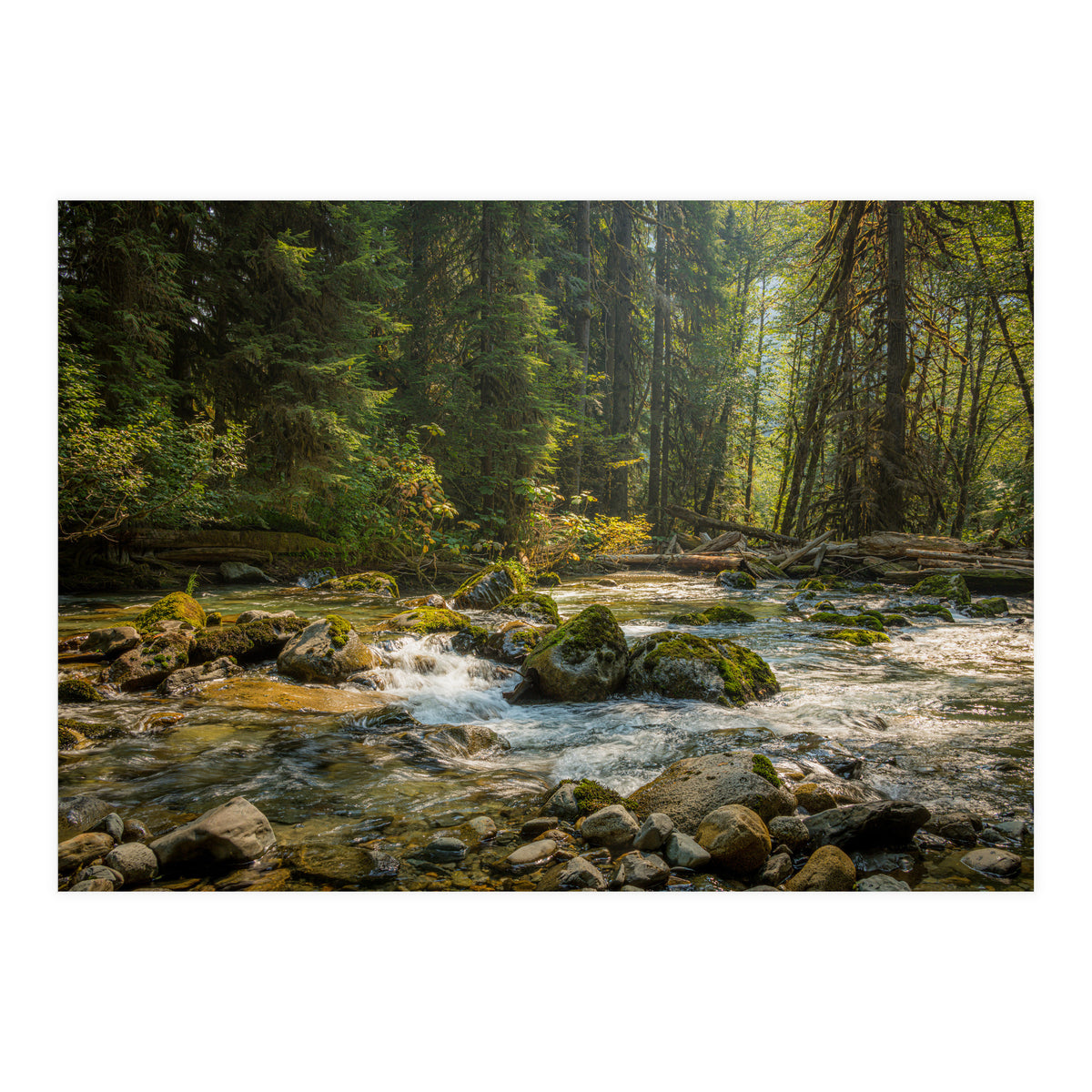 Cascade River (Print Only)