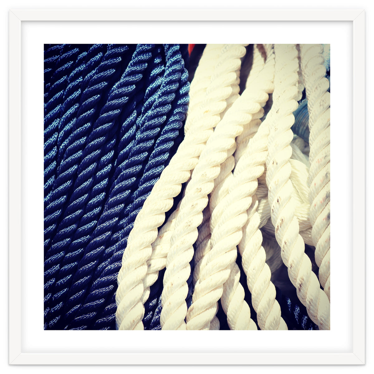 Blue and white fishing rope