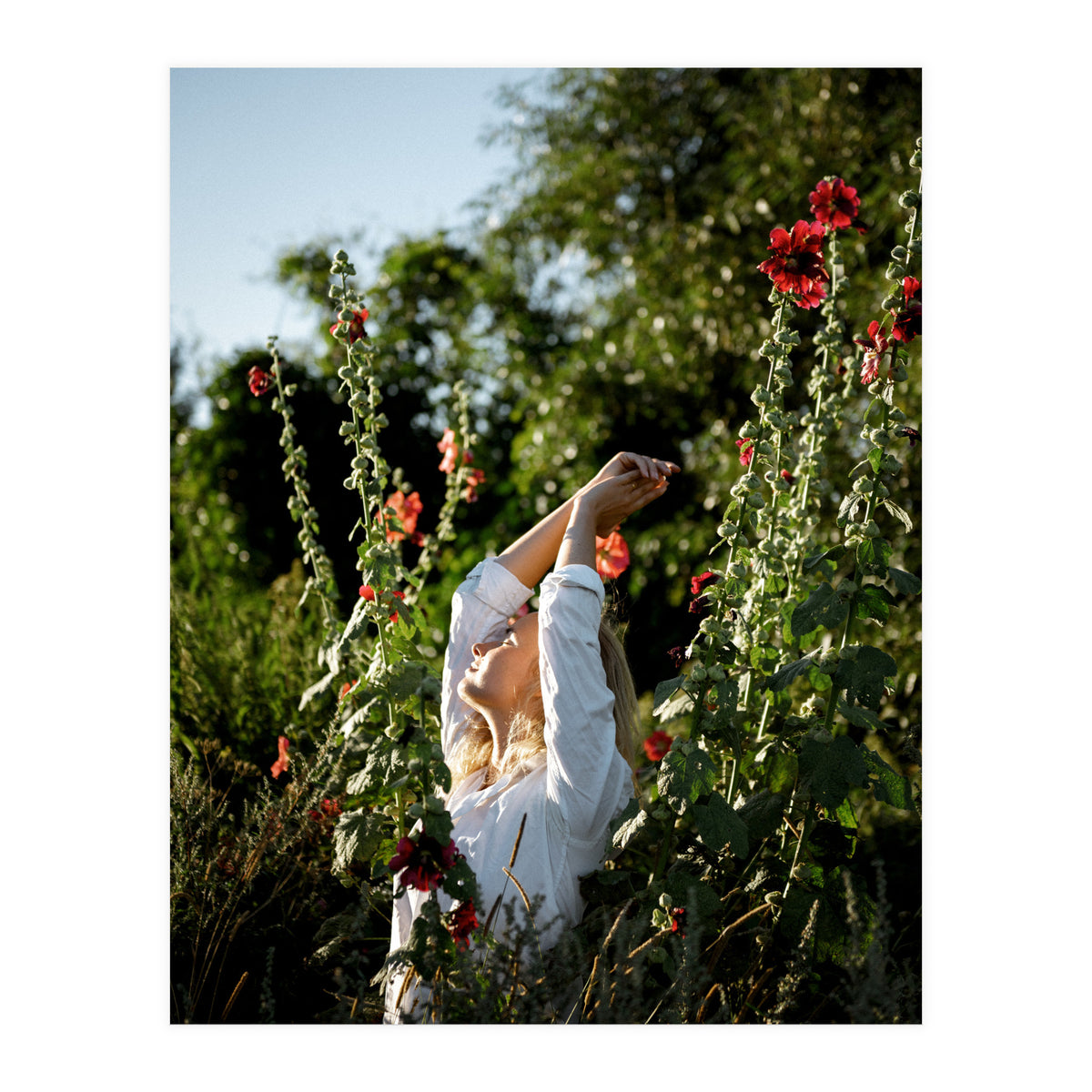 Flowers between Flowers (Print Only)