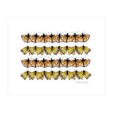 Butterfly Dance (Print Only) thumbnail