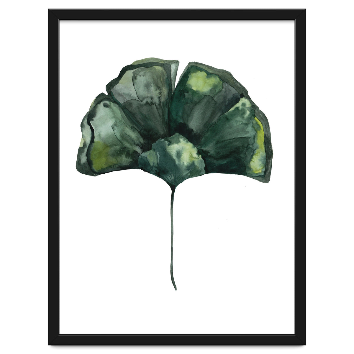 Botanical Illustration Ginko