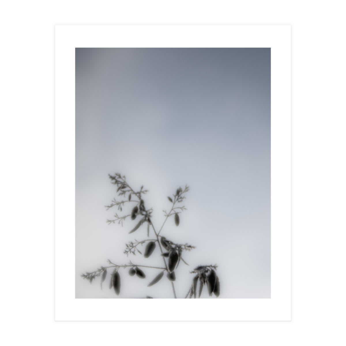 Forgotten Memories of Summer #17 (Print Only)