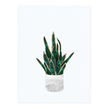 Snake Plant gold and green (Print Only) thumbnail