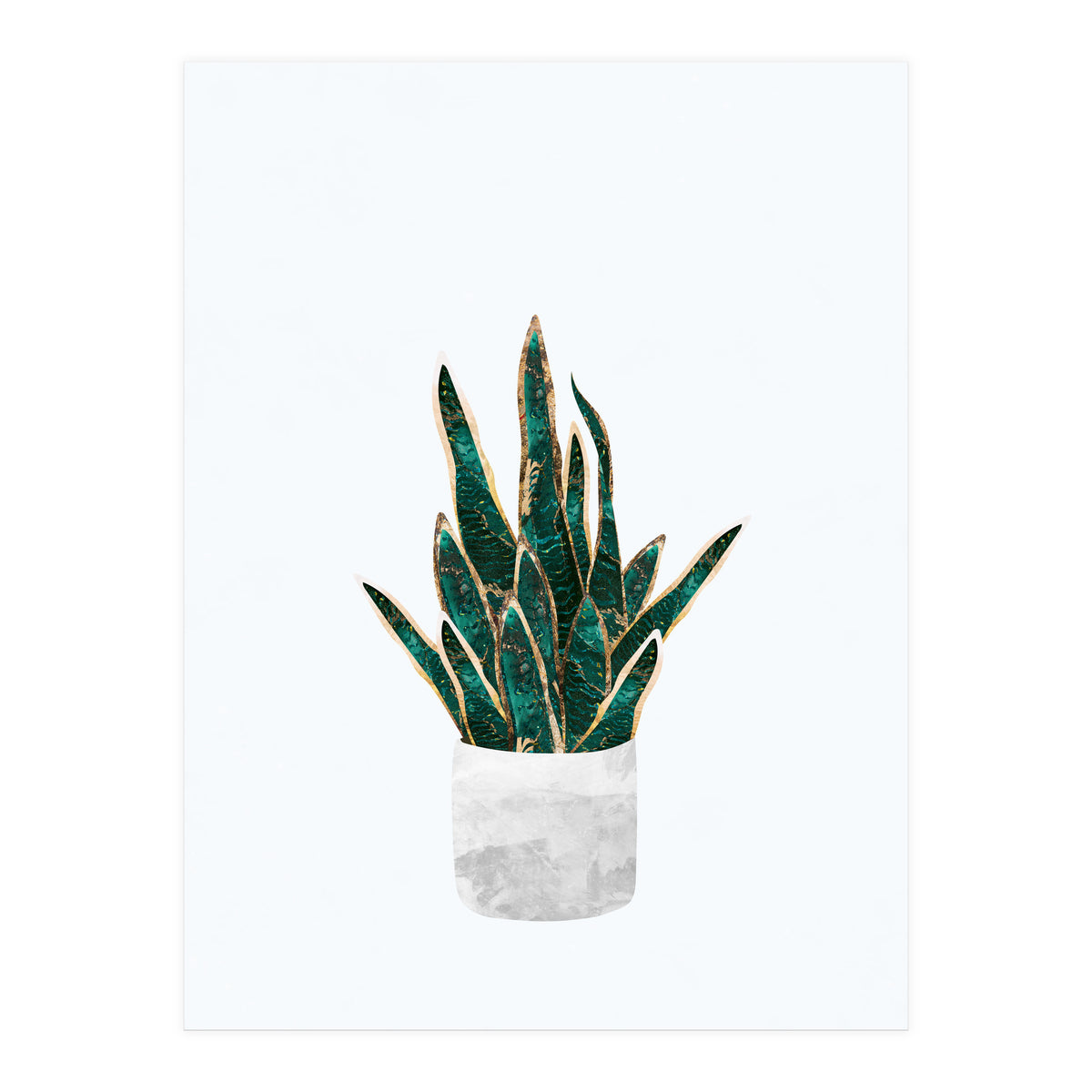 Snake Plant gold and green (Print Only)
