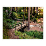 Ewoldsen Loop Bridge (Print Only) thumbnail