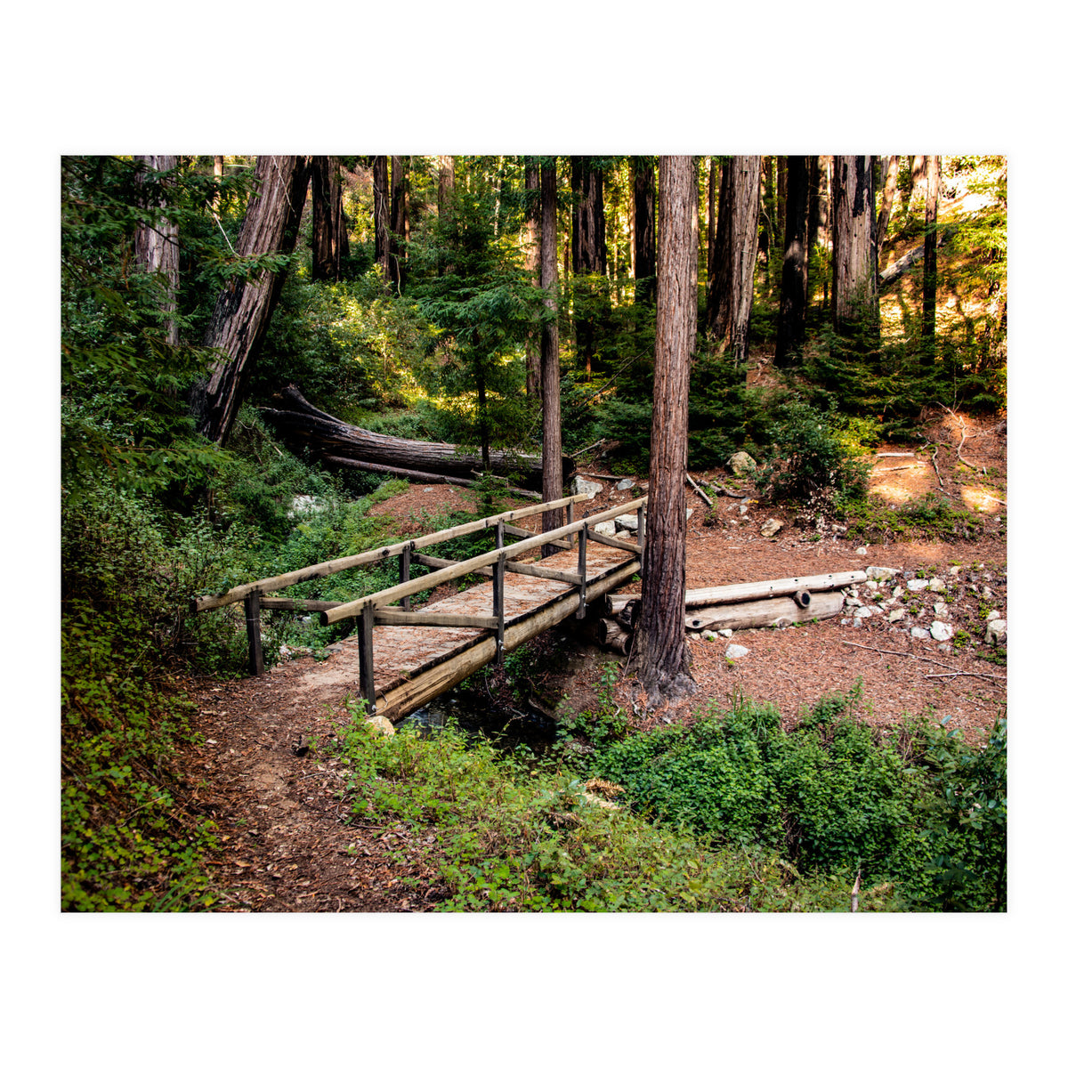 Ewoldsen Loop Bridge (Print Only)