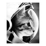 Astrocat (Print Only) thumbnail
