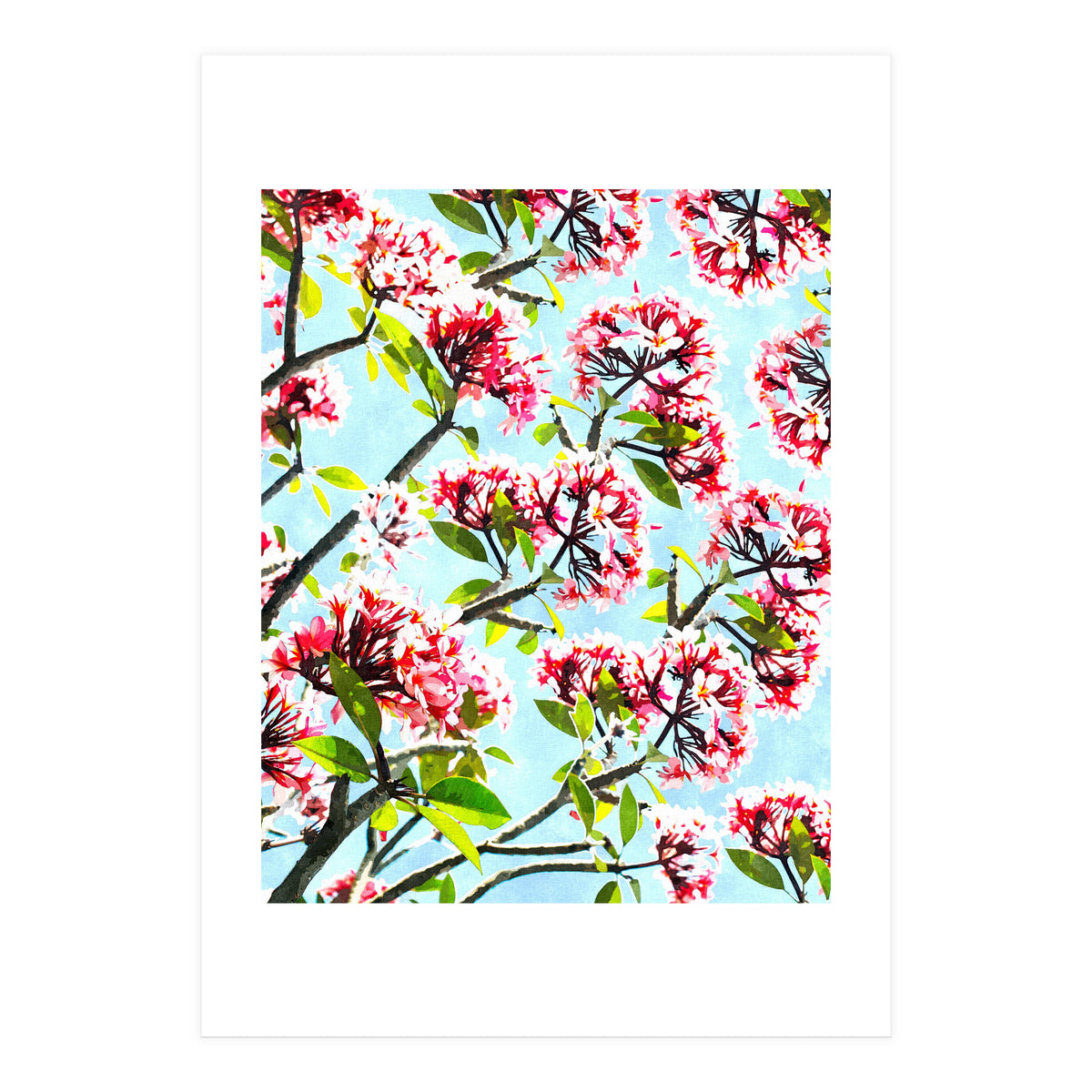 Frangipani (Print Only)