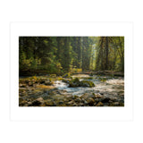 Cascade River (Print Only) thumbnail