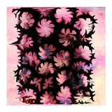 Flowers (Print Only) thumbnail