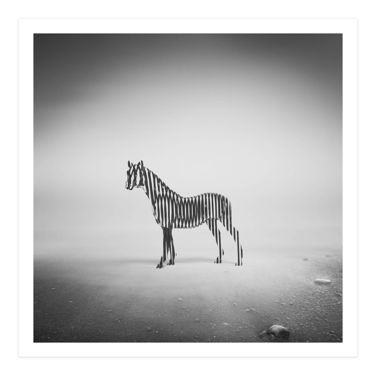 Zebra Mist (Print Only)