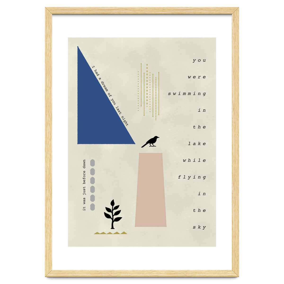 swimming while flying dream