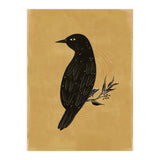 Black Bird (Print Only) thumbnail