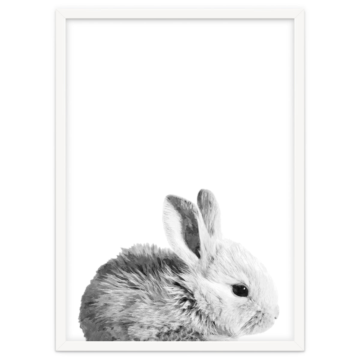 Black and White Bunny Portrait