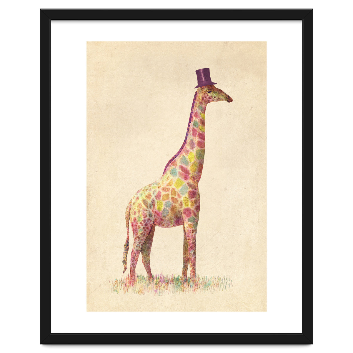 Fashionable Giraffe