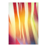 Carnival 2 (Print Only) thumbnail