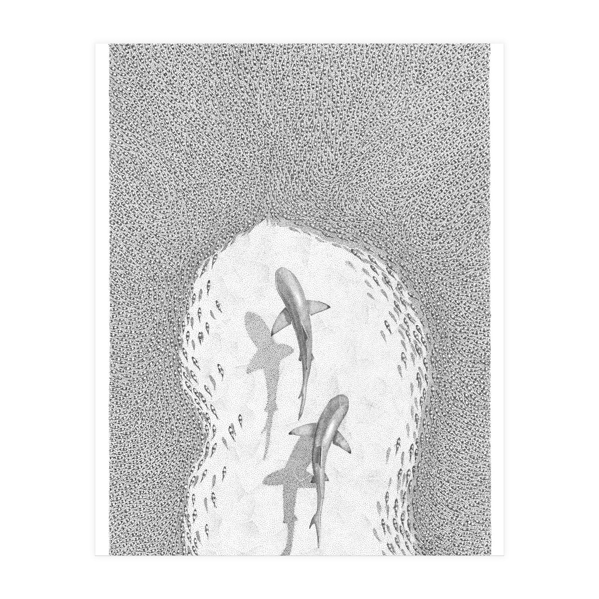 Strength in numbers (Print Only)