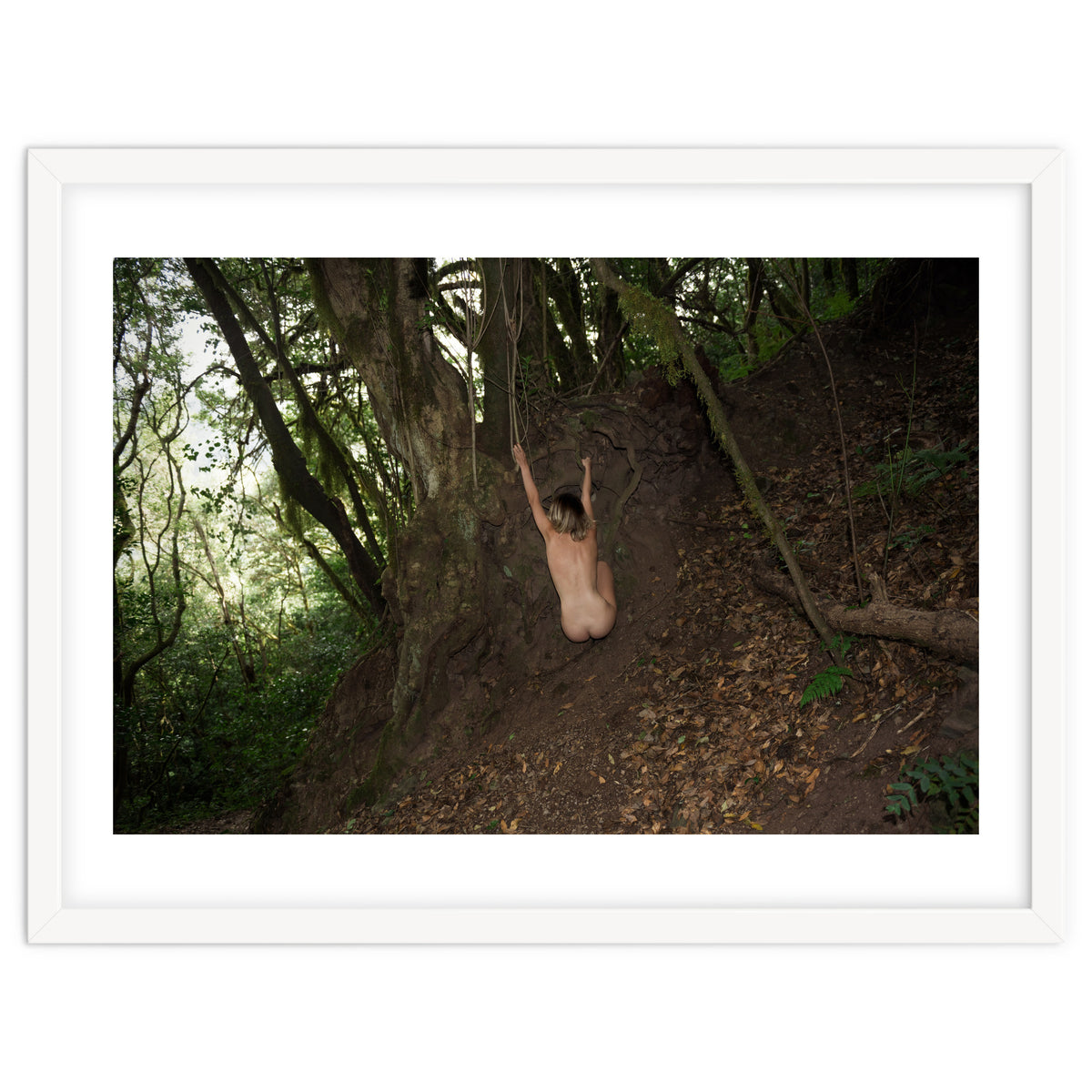 The kids Are all Wild