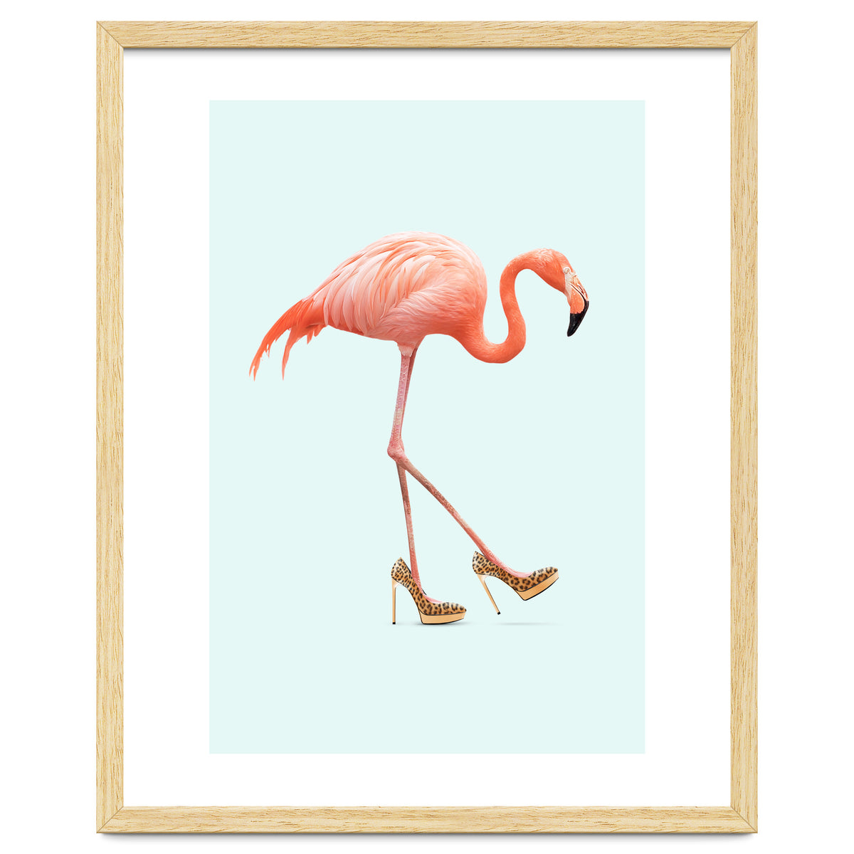 Fancy Flamingo