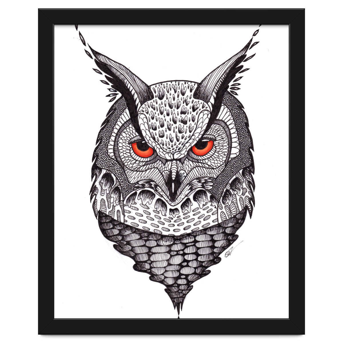 Owl