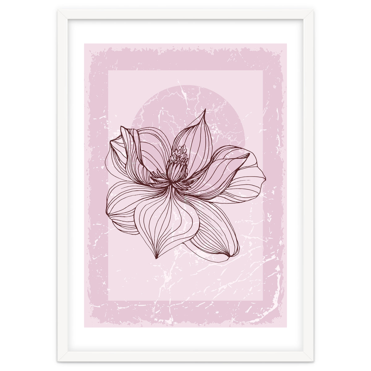 Modern Magnolia flower nature