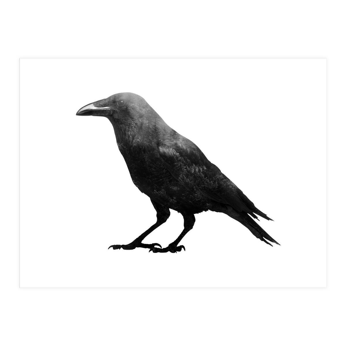 Crowscape (Print Only)