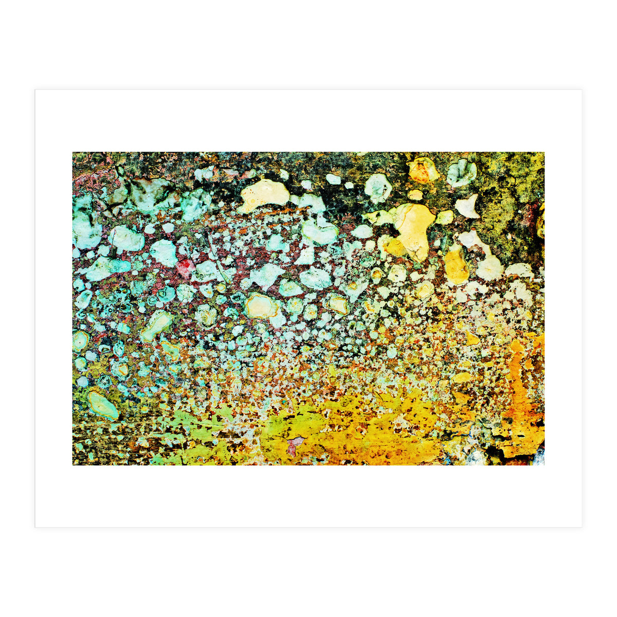 Sage (Print Only)